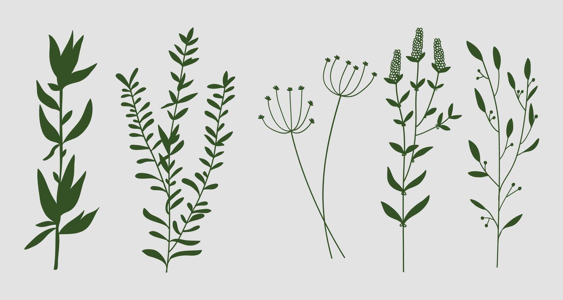 Green silhouette leaves and branches botanical collection. illustration vector