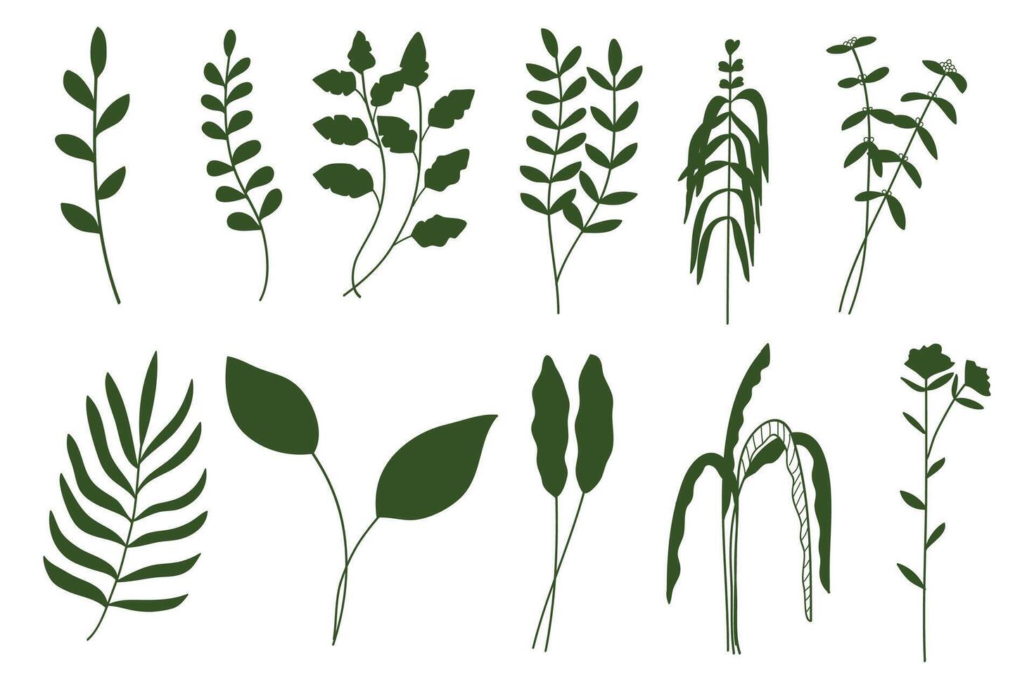 Silhouette green twigs with leaves botanical collection. vector