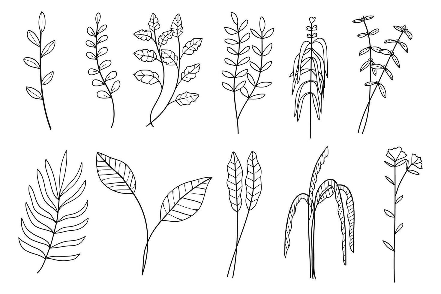 Twigs with leaves botanical hand- drawn collection. illustration vector