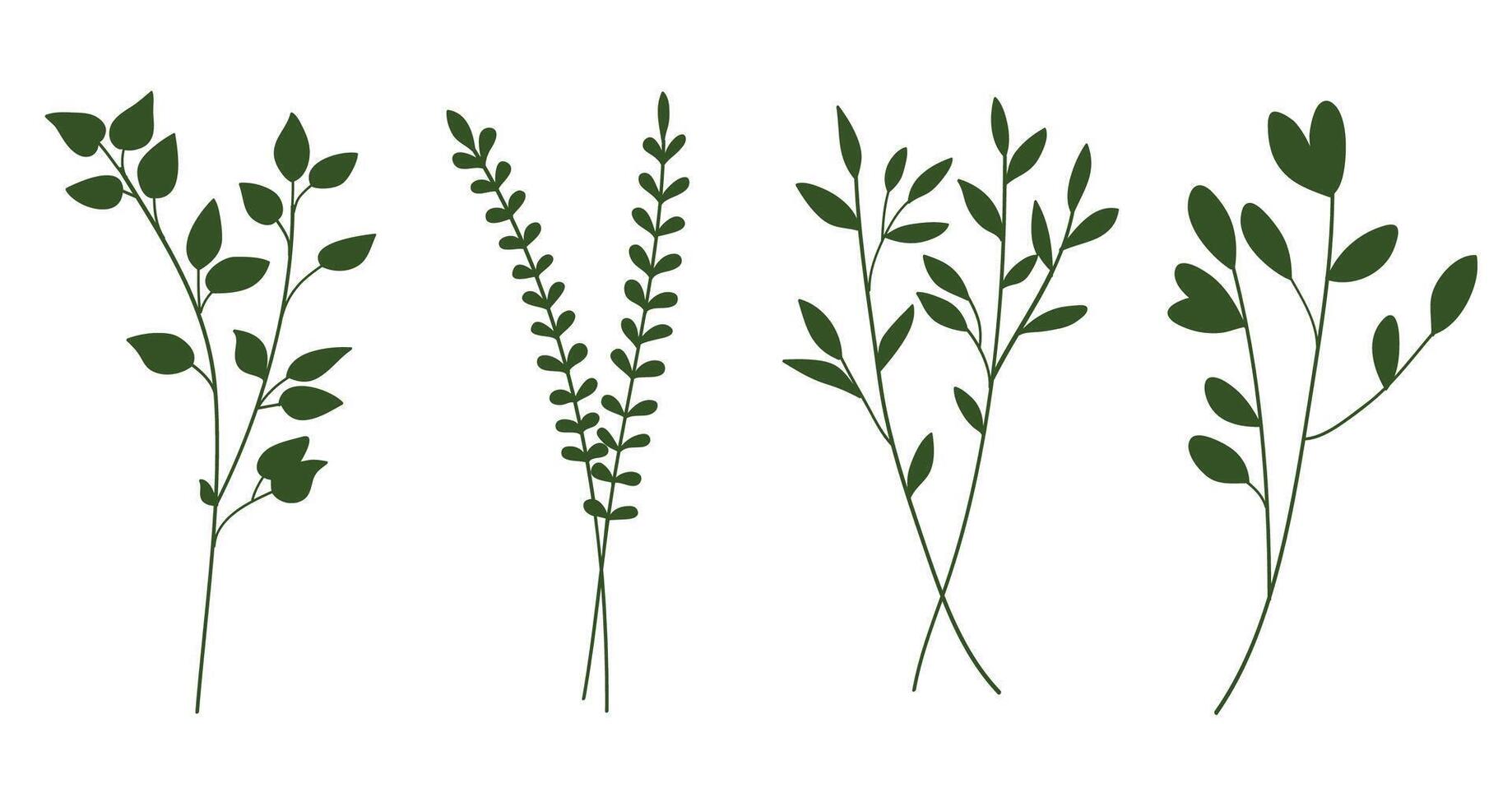 Green silhouette twigs with leaves botanical collection. illustration vector