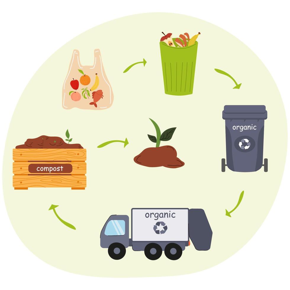 Understanding the process of organic waste management and composting activities vector