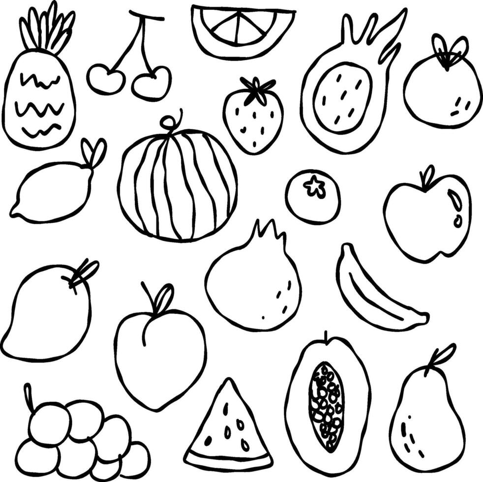 Hand drawn exotic fruit doodles set. Cute tropical food sketch, fruits illustration. pattern for background vector