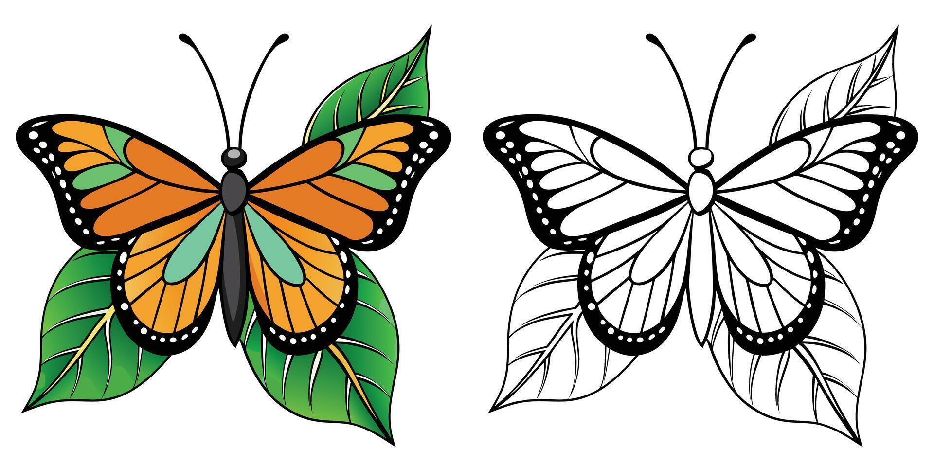Butterfly On Leaf Coloring Page For Kids Printable vector
