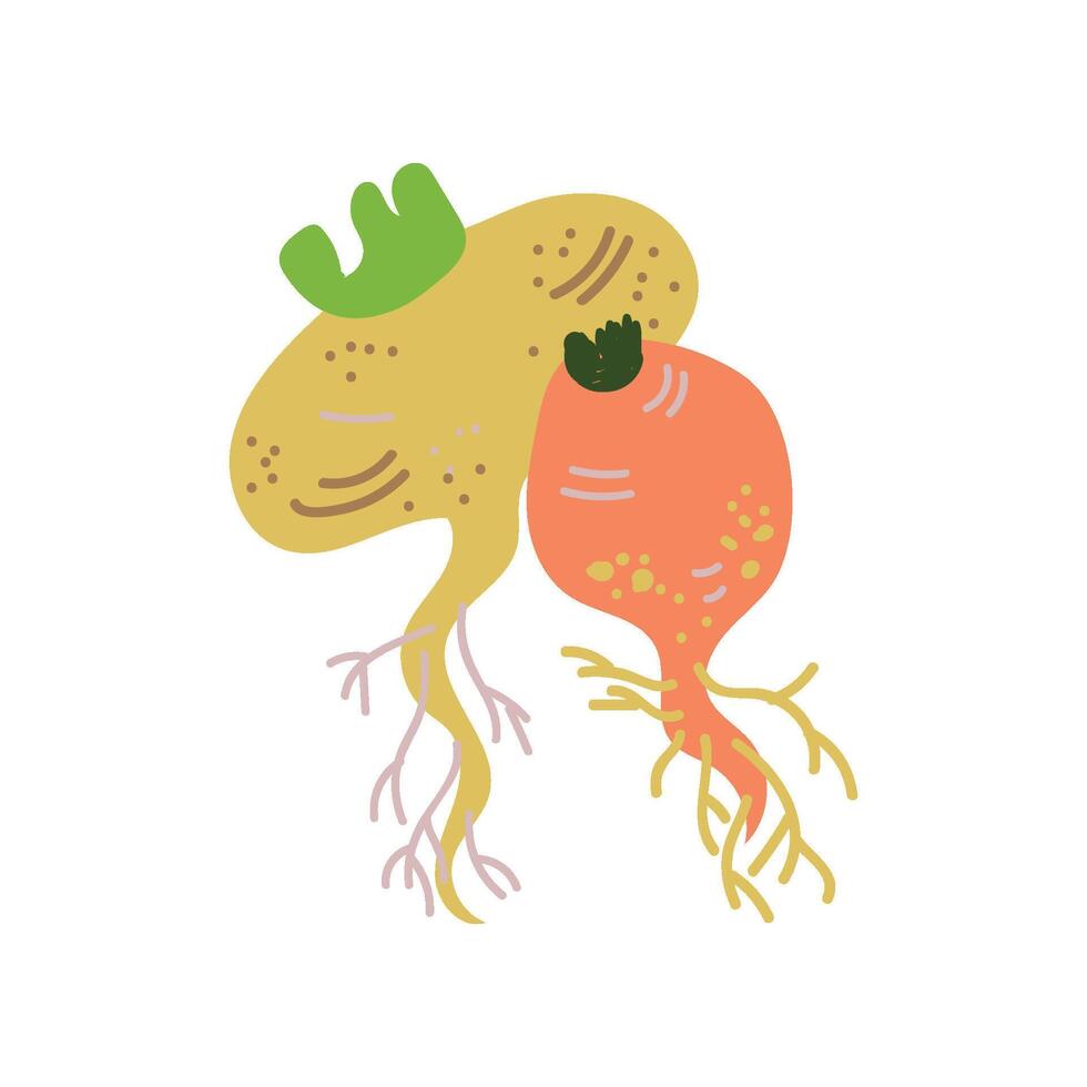 Turnip Varieties Fresh Vegetable, Organic Nutritious Vegetarian Food for Healthy Diet Illustration vector