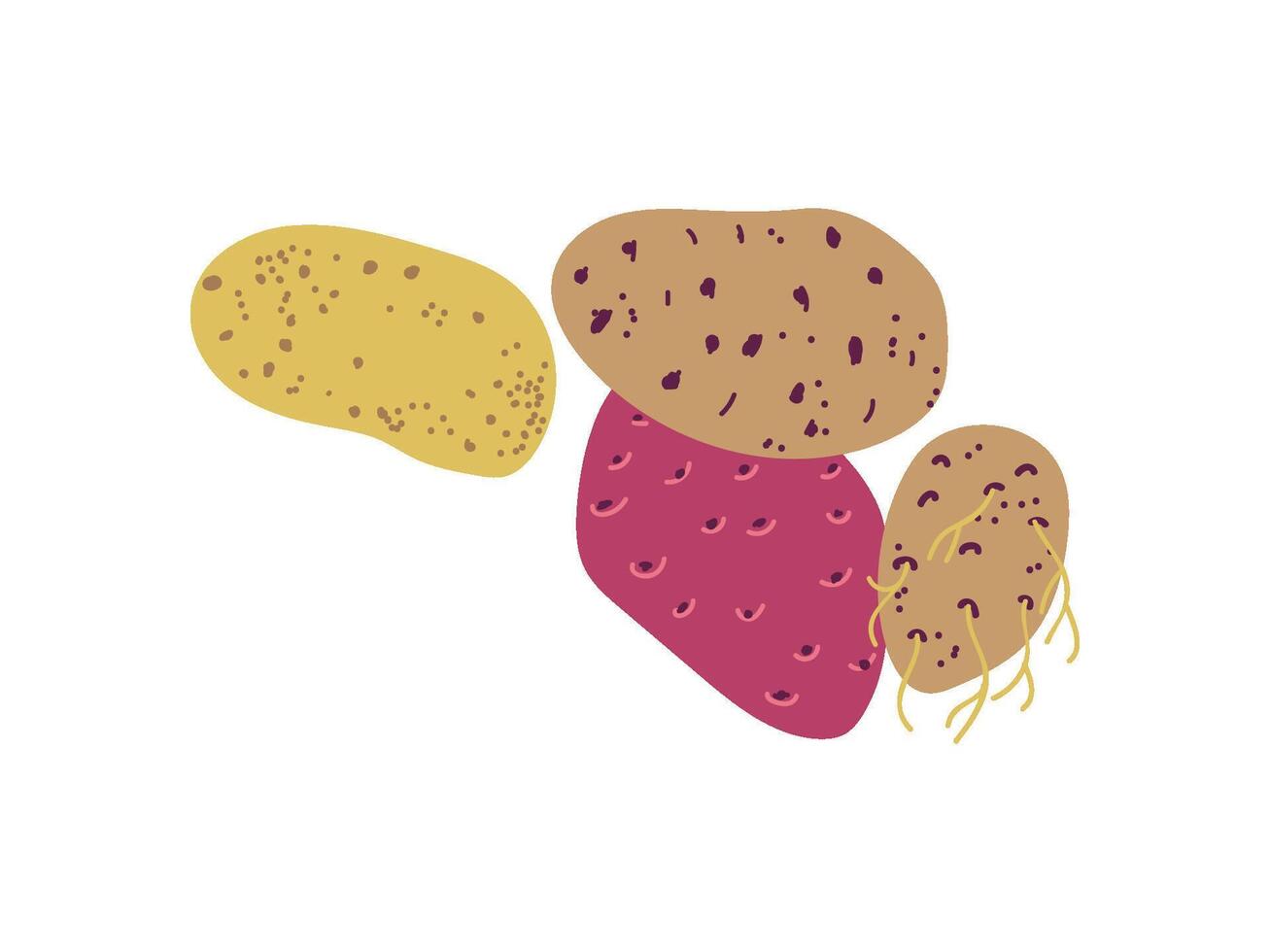 Different Potato Varieties Fresh Vegetable, Nutritious Vegetarian Food Illustration vector