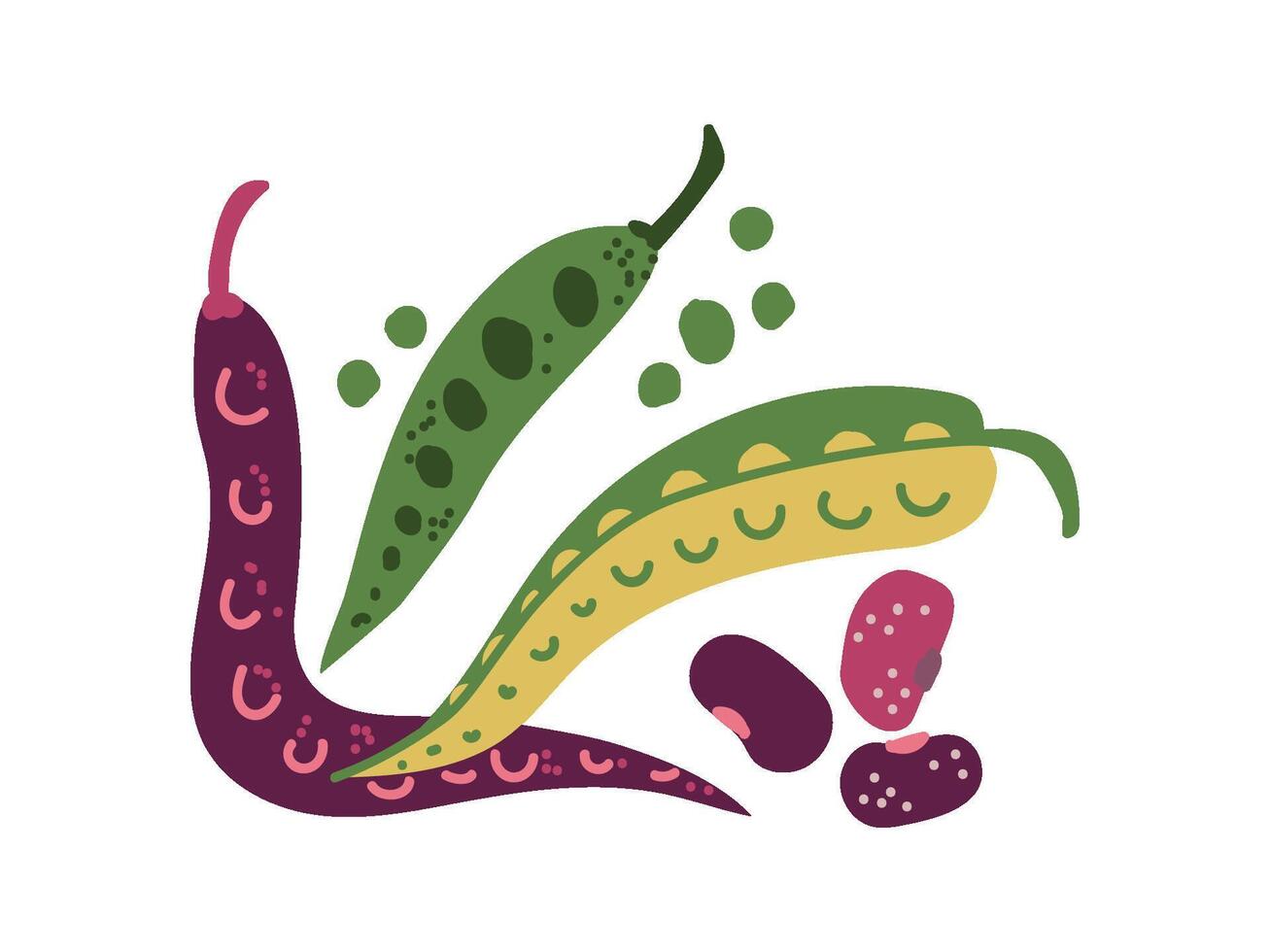 Green Bean Varieties Fresh Vegetable, Organic Nutritious Vegetarian Food for Healthy Diet Illustration vector