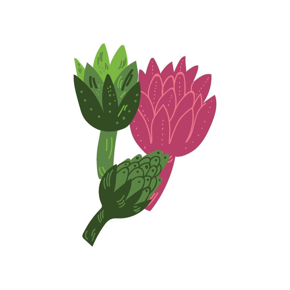 Different Artichoke Varieties Fresh Vegetable, Organic Nutritious Vegetarian Food for Healthy Diet Illustration vector