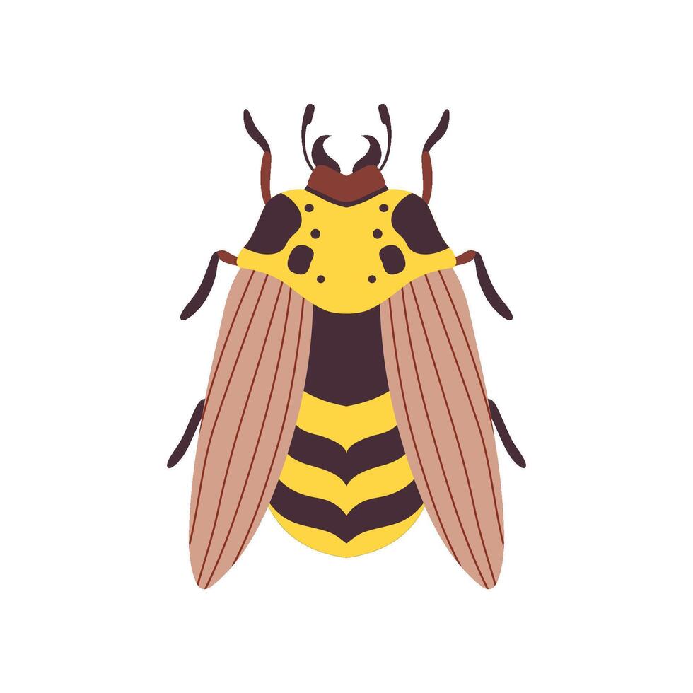 Wasp Flying Insect Top View Illustration vector