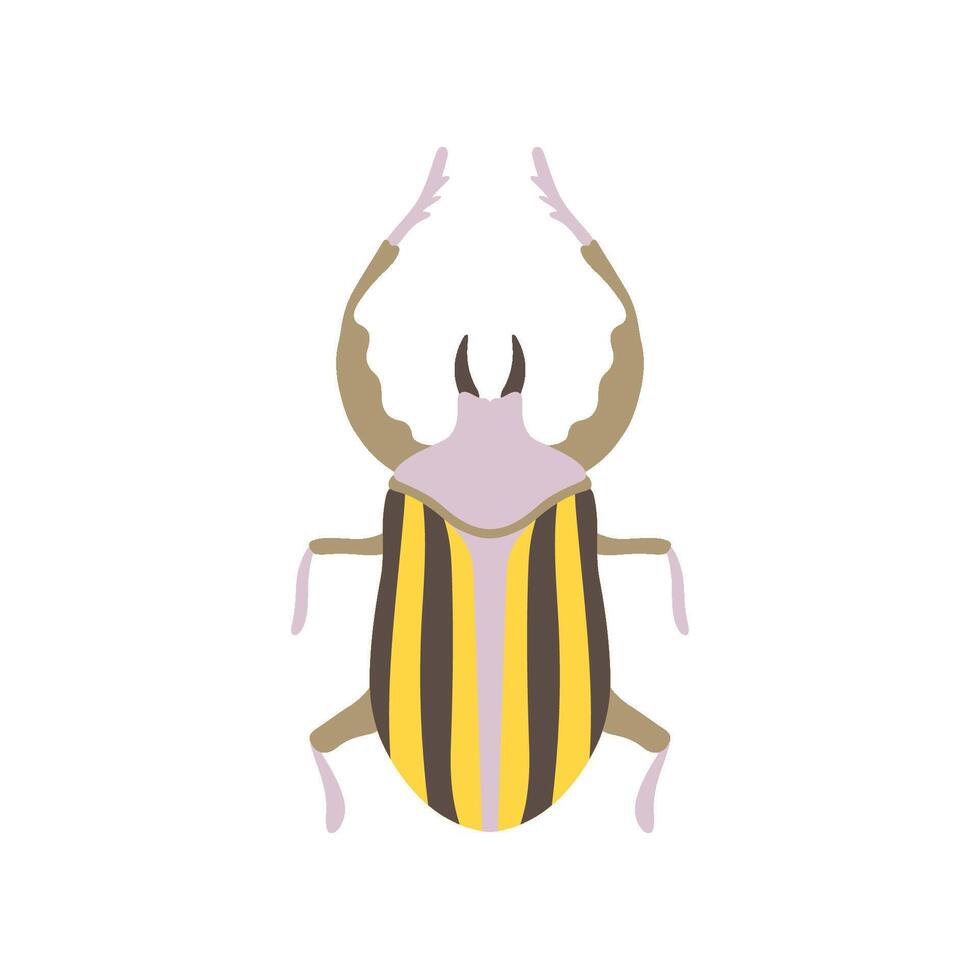 Striped Beetle Insect, Bug Top View Flat Illustration vector