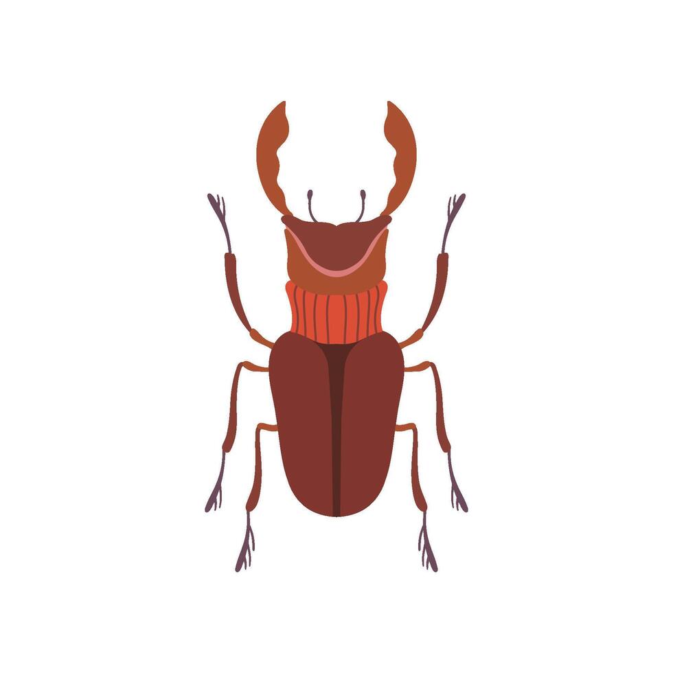 Beetle Deer Insect Species Top View Illustration vector