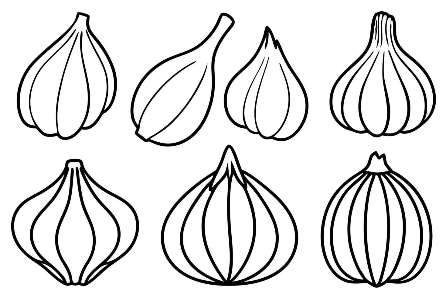 Garlic Line Art Illustration Offering Stunning Creative Visual Composition vector