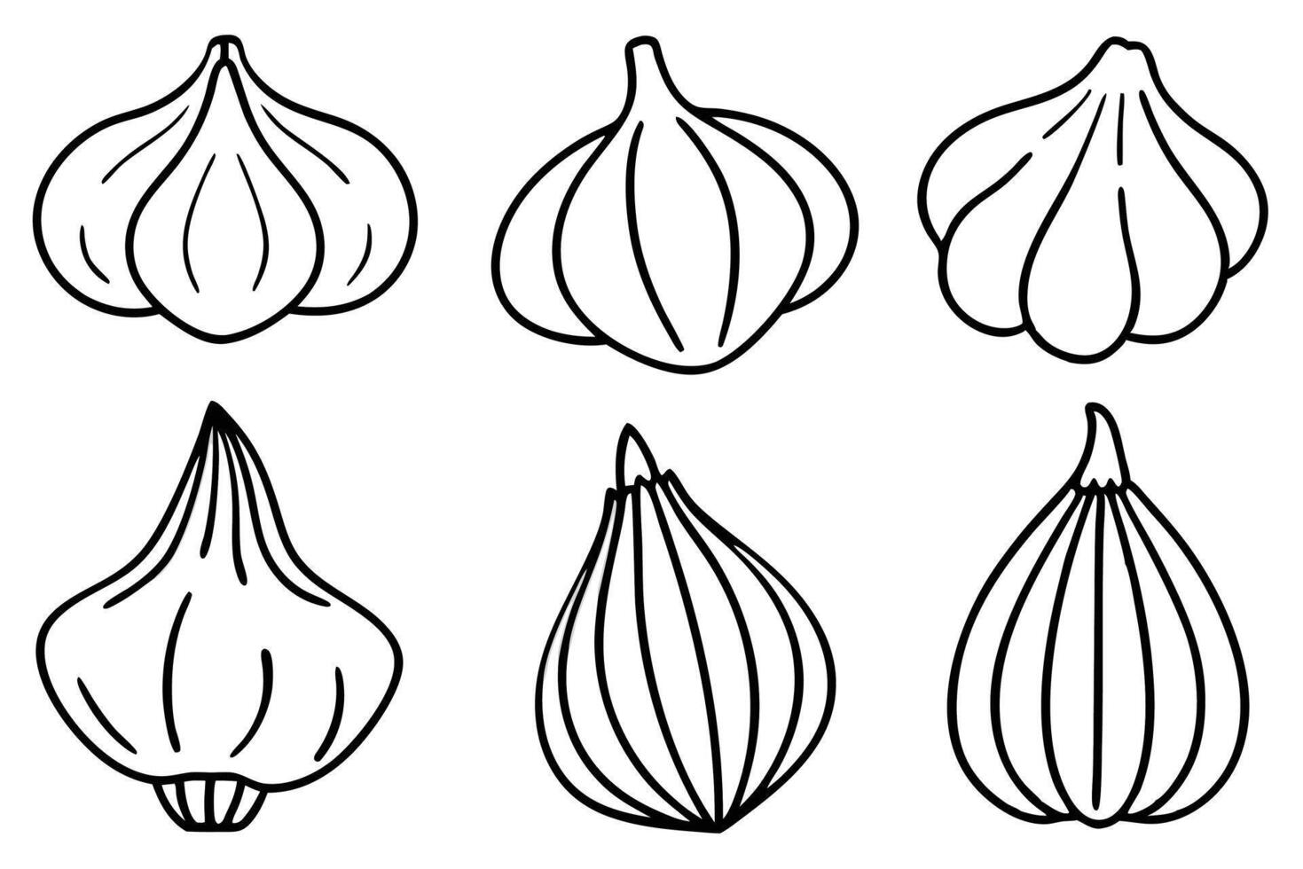 Garlic Line Art Illustration Blending Traditional Art with Contemporary Trends vector