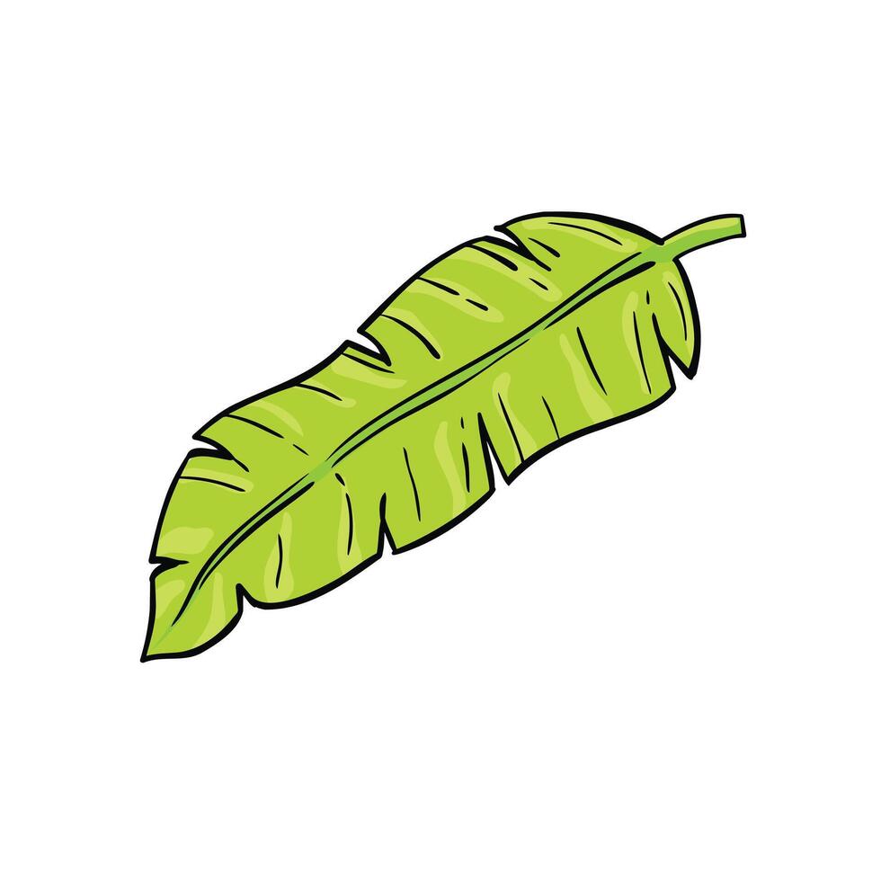 Banana Leaf Colorful Icon Illustration vector