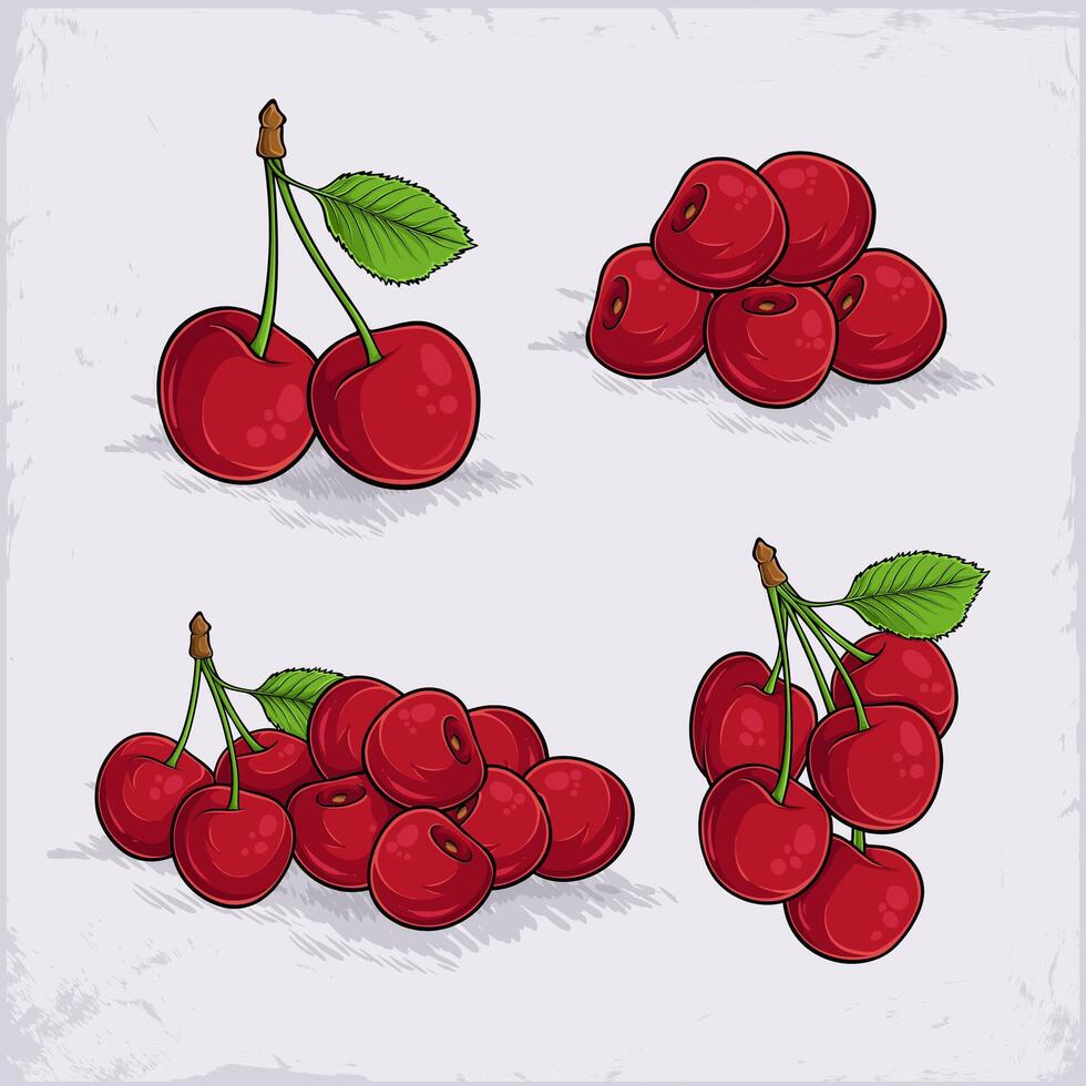 Hand hand fresh organic healthy sets of sweet red cherries with green leaves on top, good for health vector