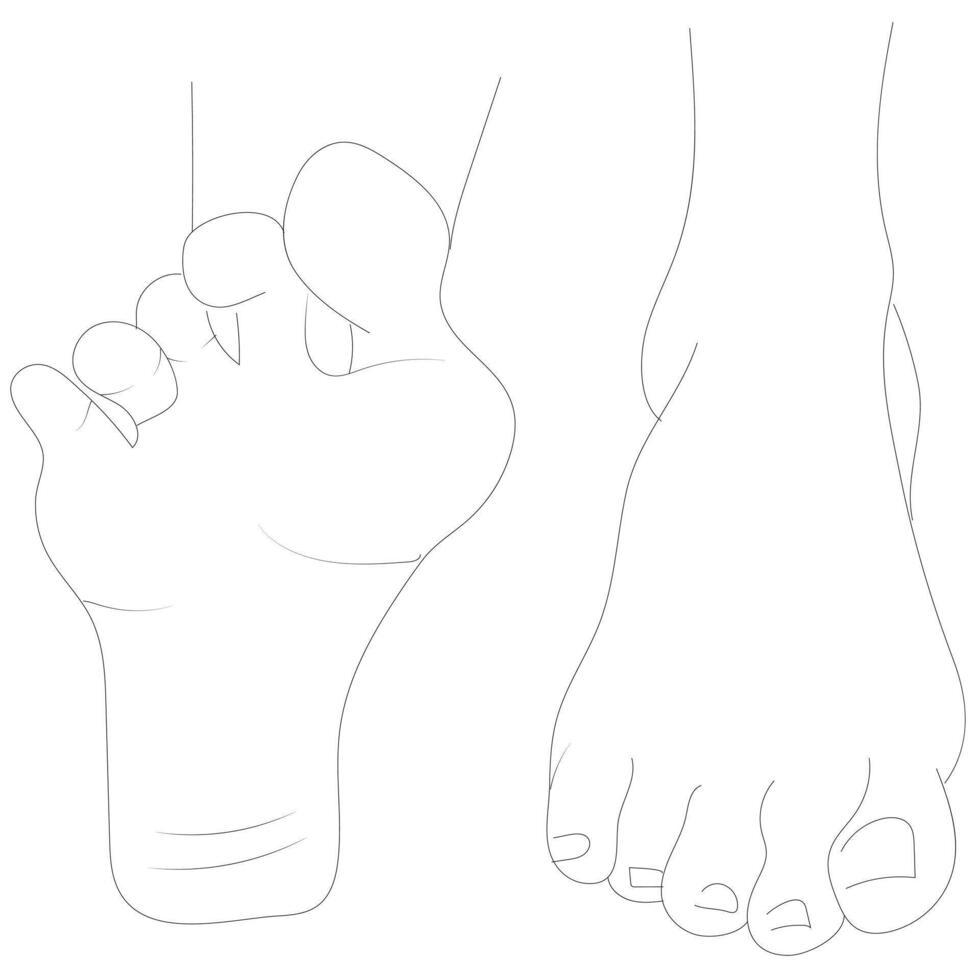 human feet . podiatry footstep art, man and woman feet in different poses views, vector