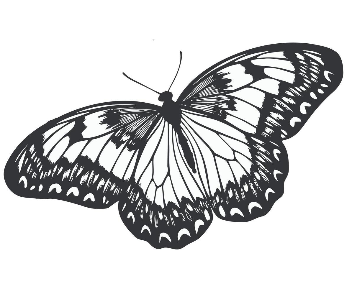 Silhouette of a butterfly with decorative wings. vector