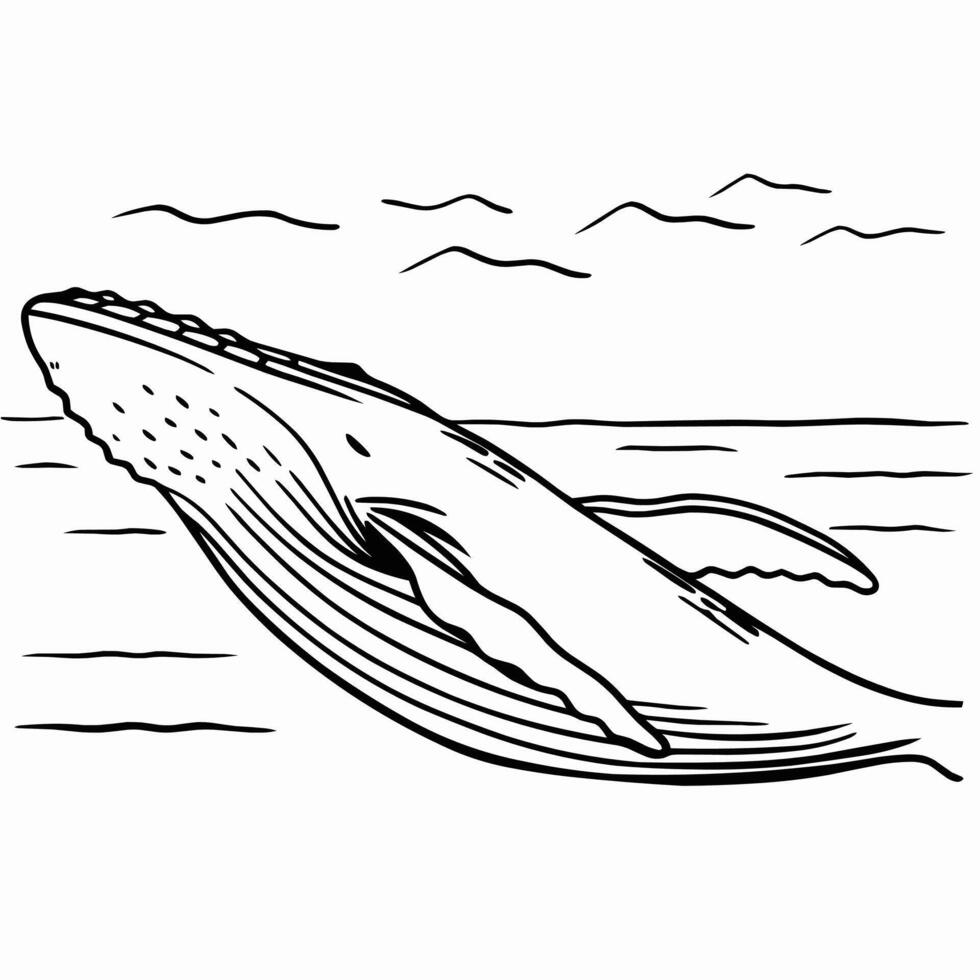 simple whale in the sea vector