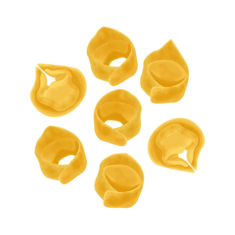 Illustration Logo Clipart Raw Tortellini Italian Dumpling izsolated vector