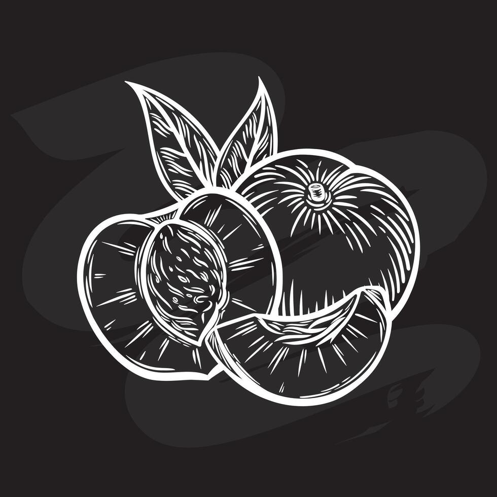 Peaches in engraving style on a black background vector