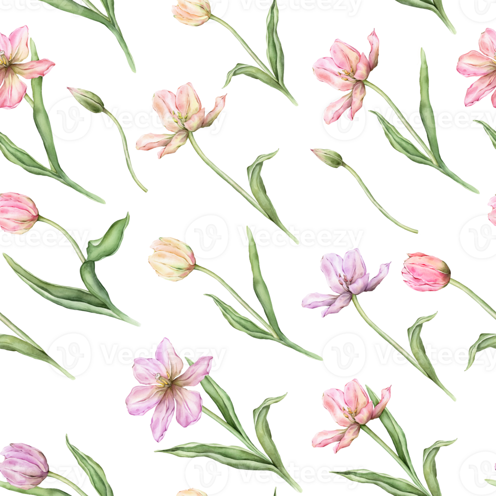 Seamless pattern of pastel pink light violet yellow bud Tulips watercolor illustration isolated on background. Hand drawn delicate spring perennial bulbous flower for spring wedding repeat design png