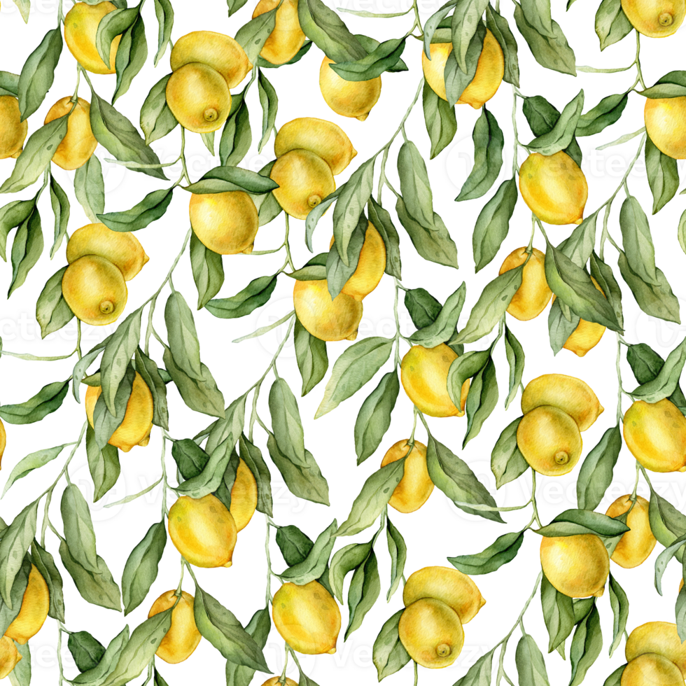 Seamless pattern with watercolor illustration of Lemon or Lime. Hand painted lemon branche with green leaves on white isolated background for juice label or icon. png