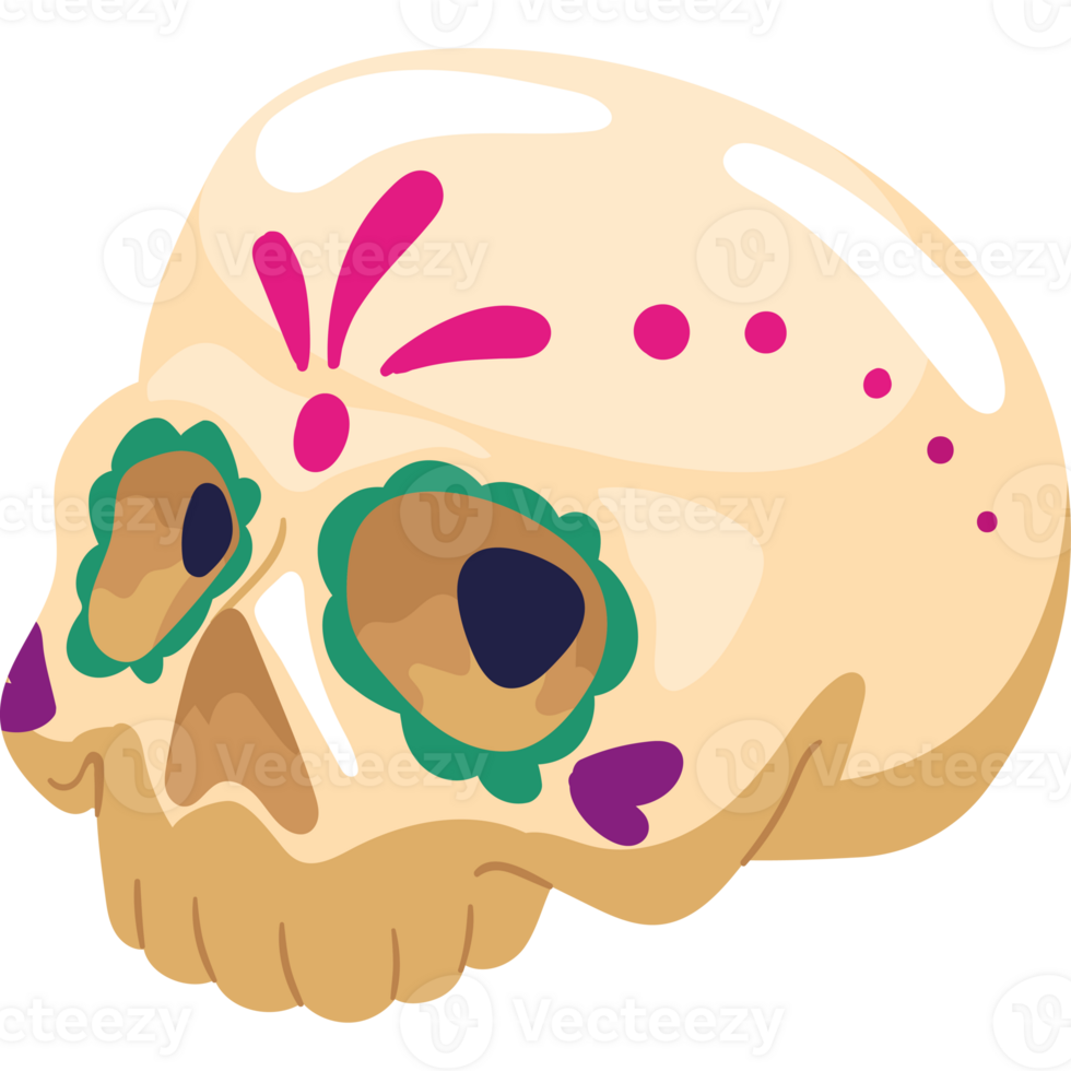 mexico catrina skull illustration isolated png