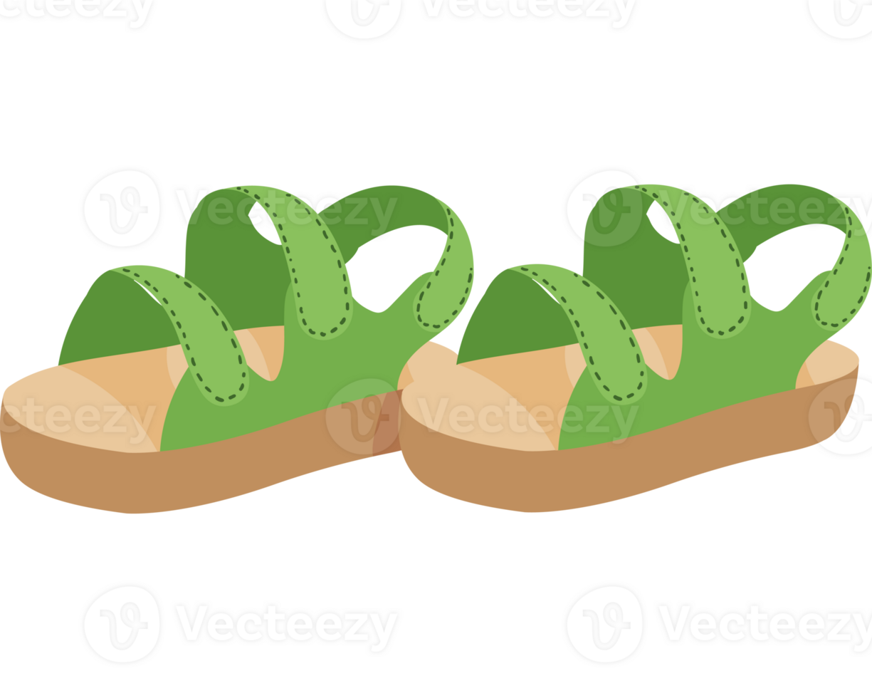 Female shoe accessories green png