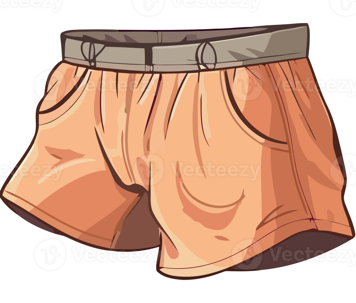 Summer fashion collection Men shorts isolated png