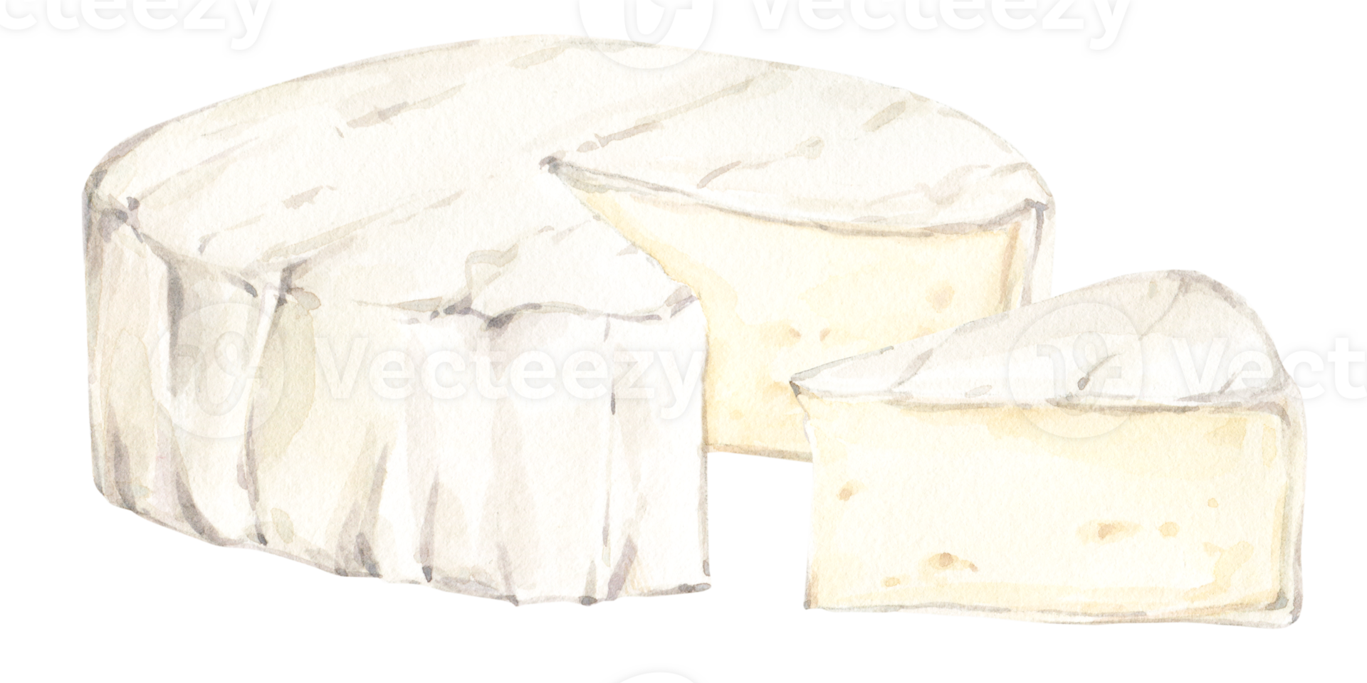 Watercolor food clip art. White brie or camembert Italian, French soft cheese. Exquisite snack for wine. Cut piece and whole head of cheese. png