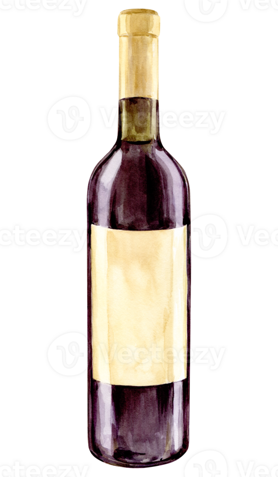 Watercolor red wine bottle with old paper label. Hand drawn clipart of alcoholic drink for party and event. Illustration for tasting, menu, cafe, bar, posters and wine list design. png
