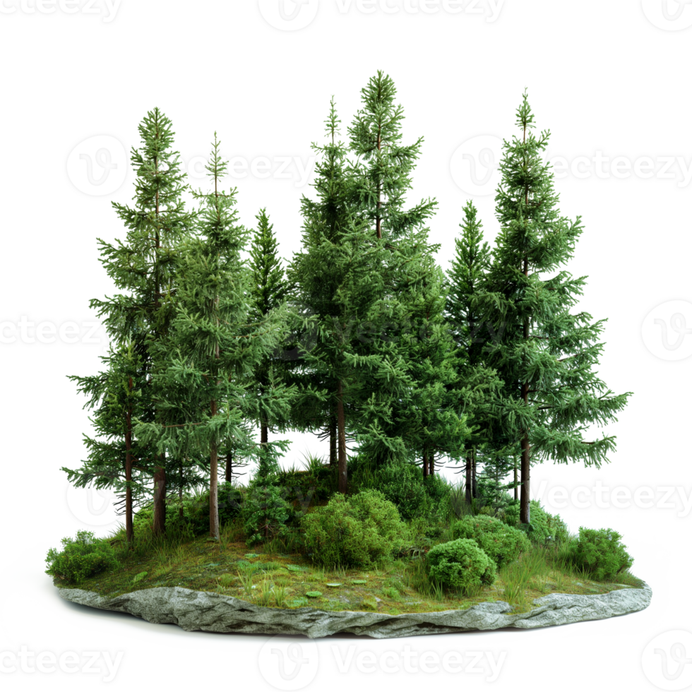 Green Forest Isolated Transparent Pine Trees Design Element for Nature Projects png