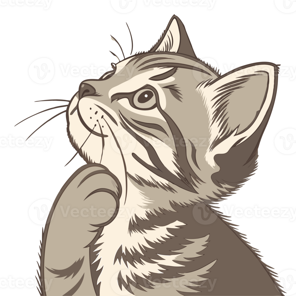 A kitten with its paws resting on its chin, gazing upwards with a thoughtful expression png