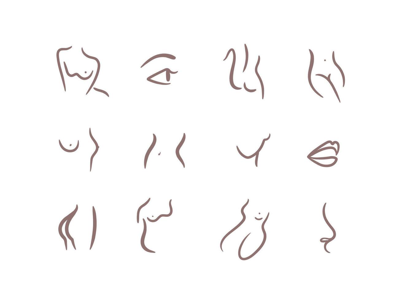 Body parts drawing in linear art style with brown on light background vector