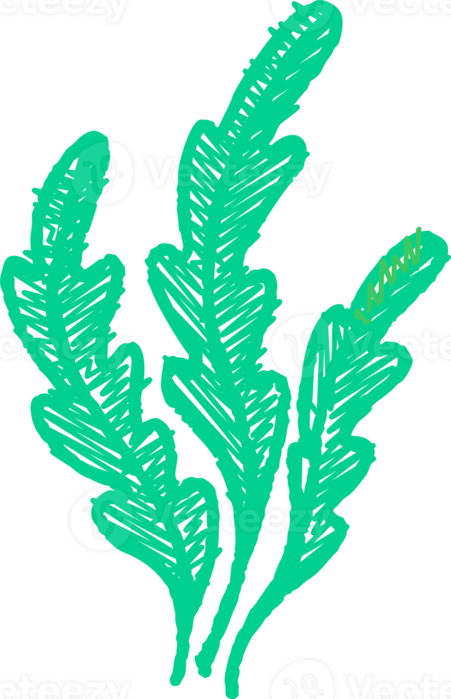 Crayon kids summer drawing. Pastel seaweed algae illustration. Chalk and colored pencil hand drawn png