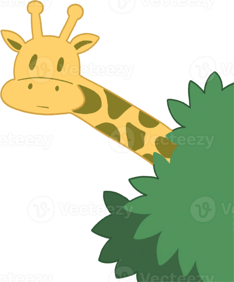 giraffe illustration clipart png