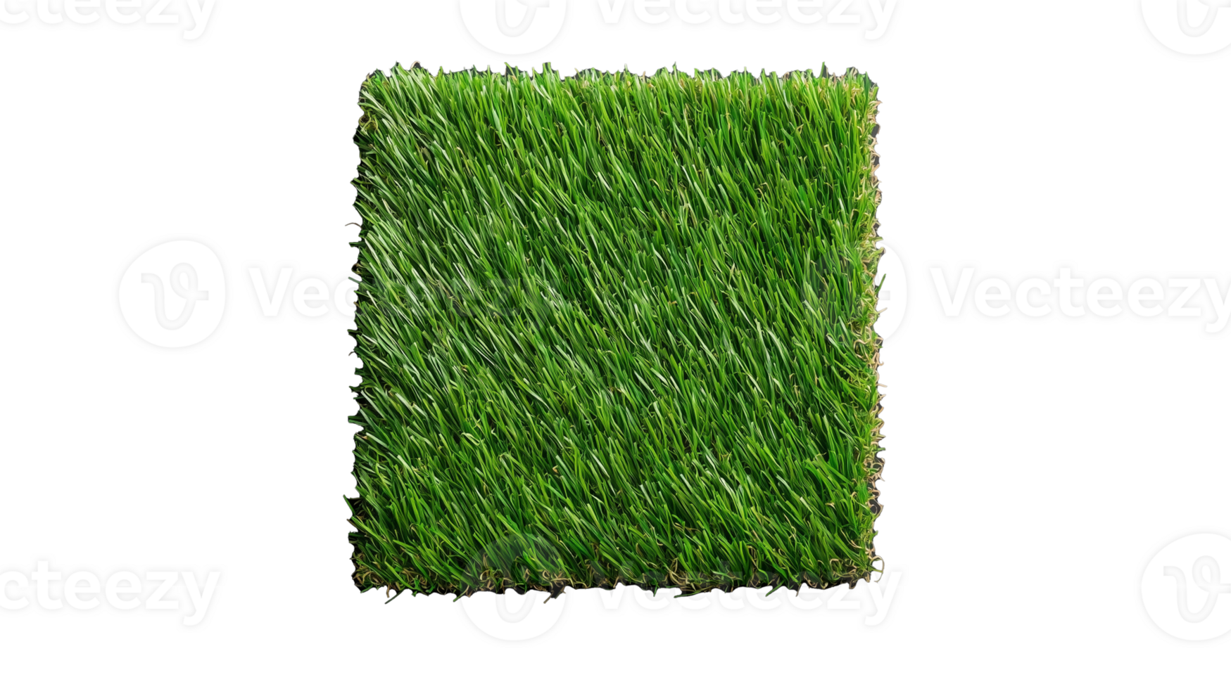 Lush Green Grass Texture Square with Transparent Background png