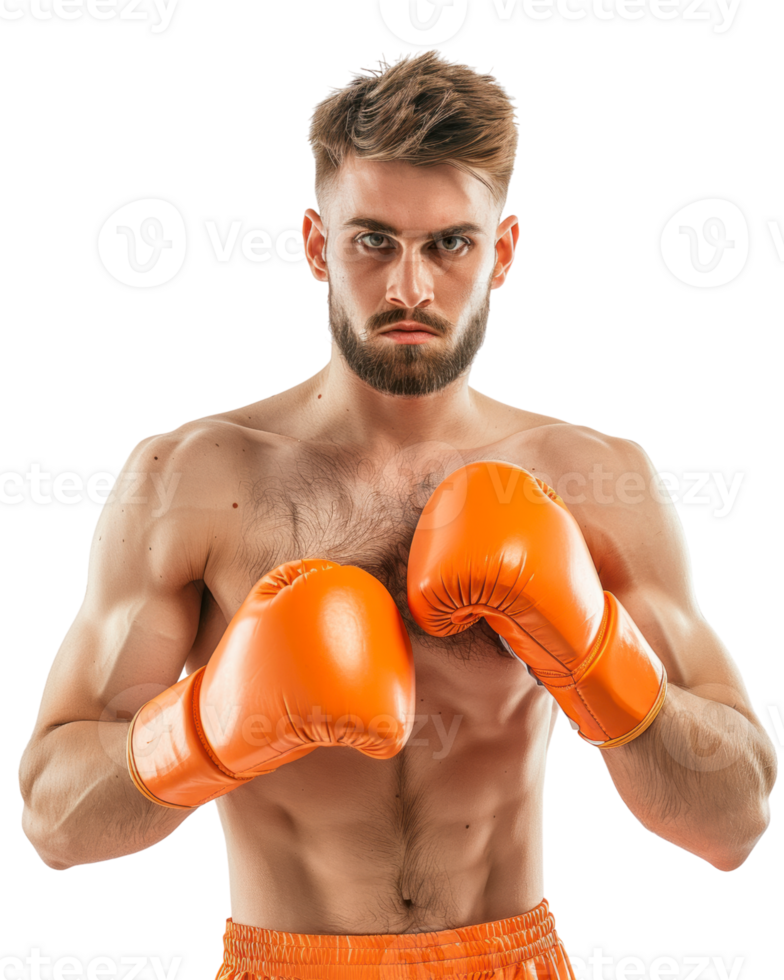 Boxer in orange gloves posing Isolated on transparent background png
