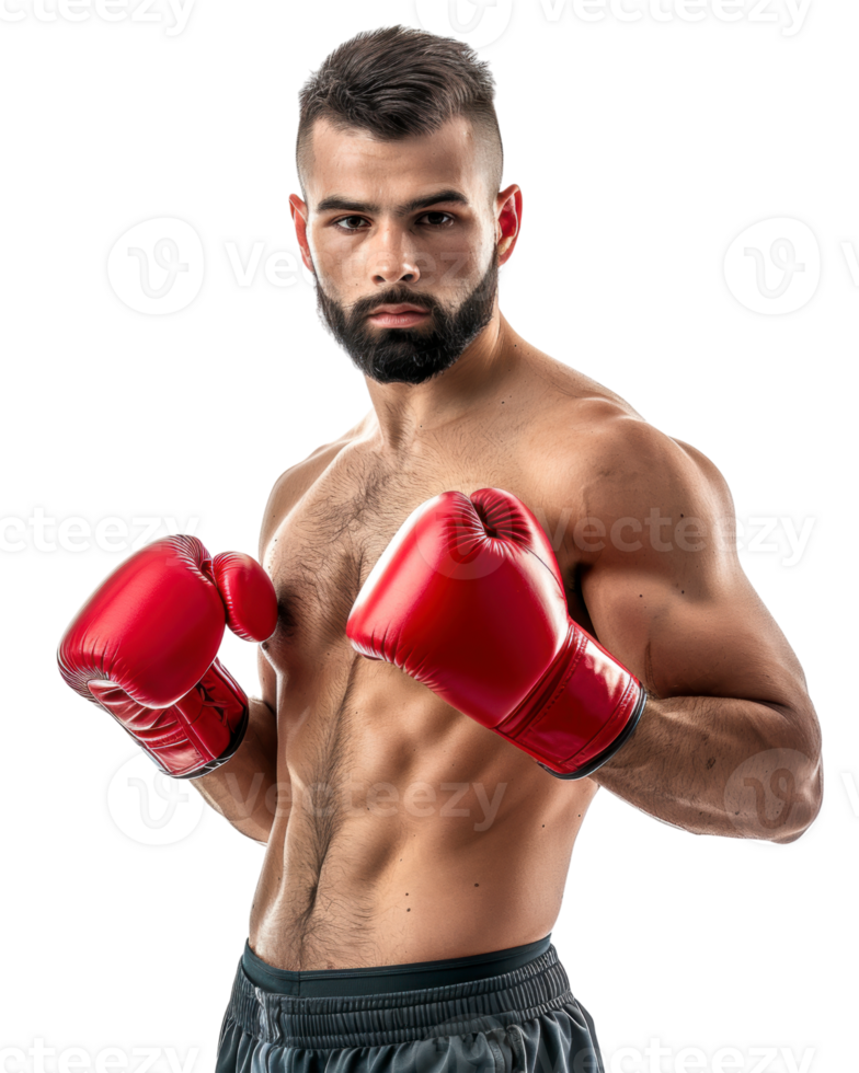 Focused boxer in red gloves posing Isolated on transparent background png
