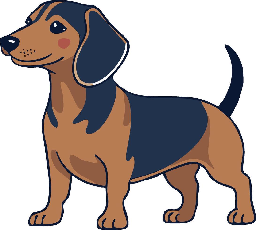 Dachshund dog art and illustration. vector
