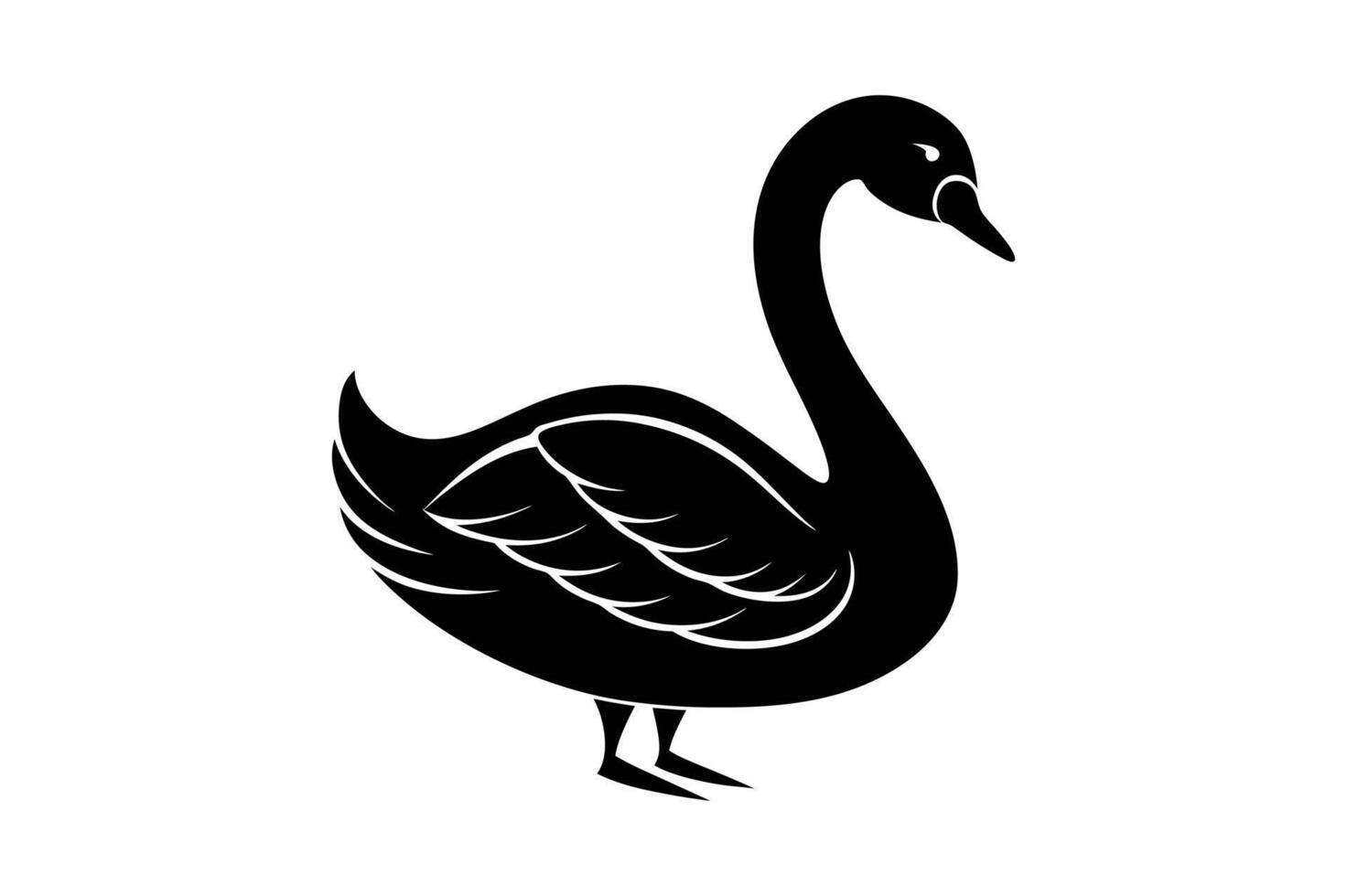 Elegant Bewick Swan Silhouette vector