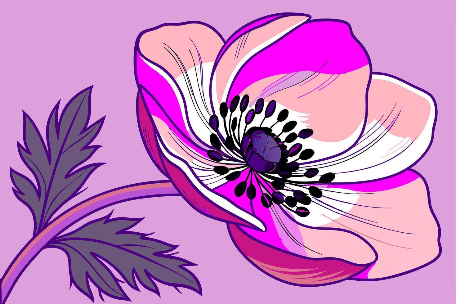 Pink and White Anemone Flower Illustration. vector