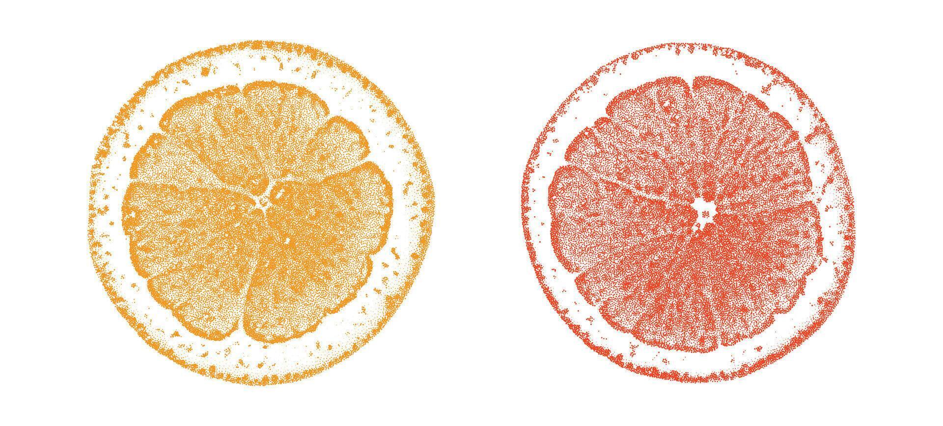 Orange slices stippling retro Christmas elements vector