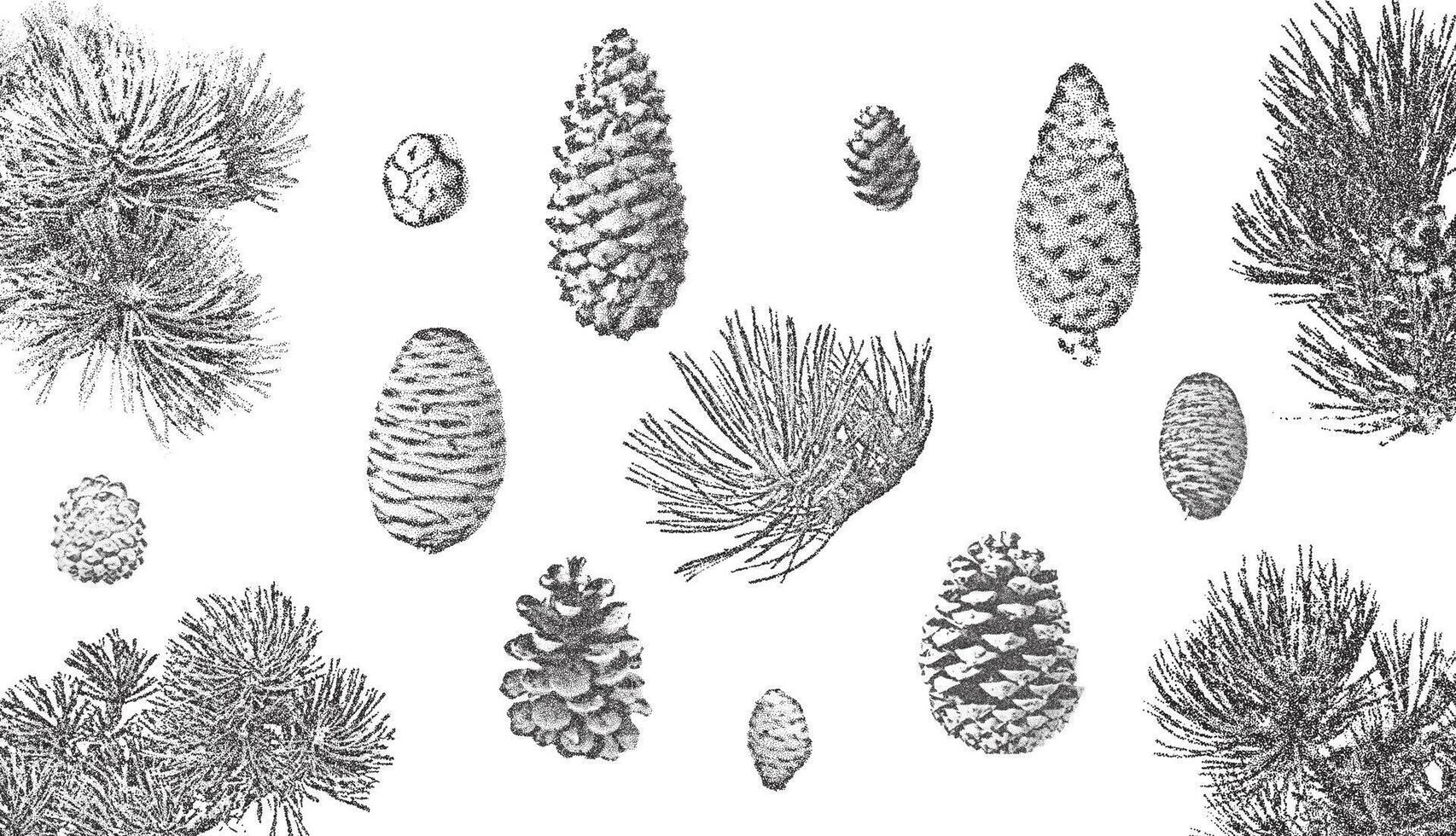 Spruce branches and cones set. Christmas stippling photocopy illustration vector