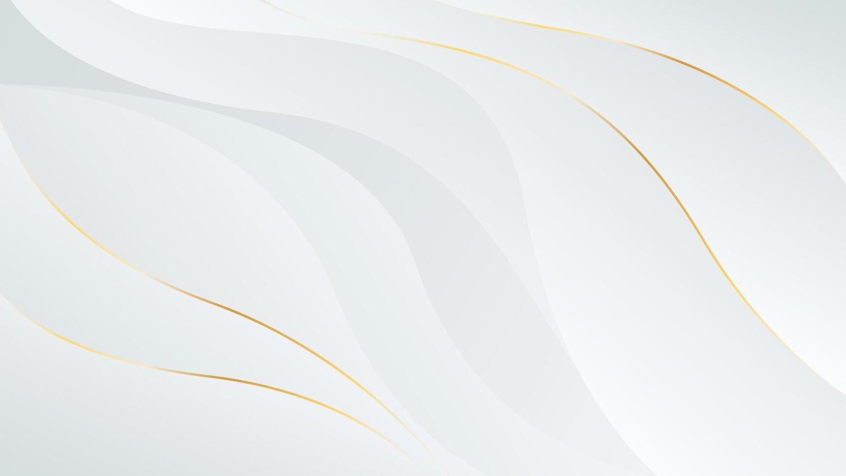 Abstract white-gray luxury background with gold lines, Elegant modern wallpaper with flowing waves. vector