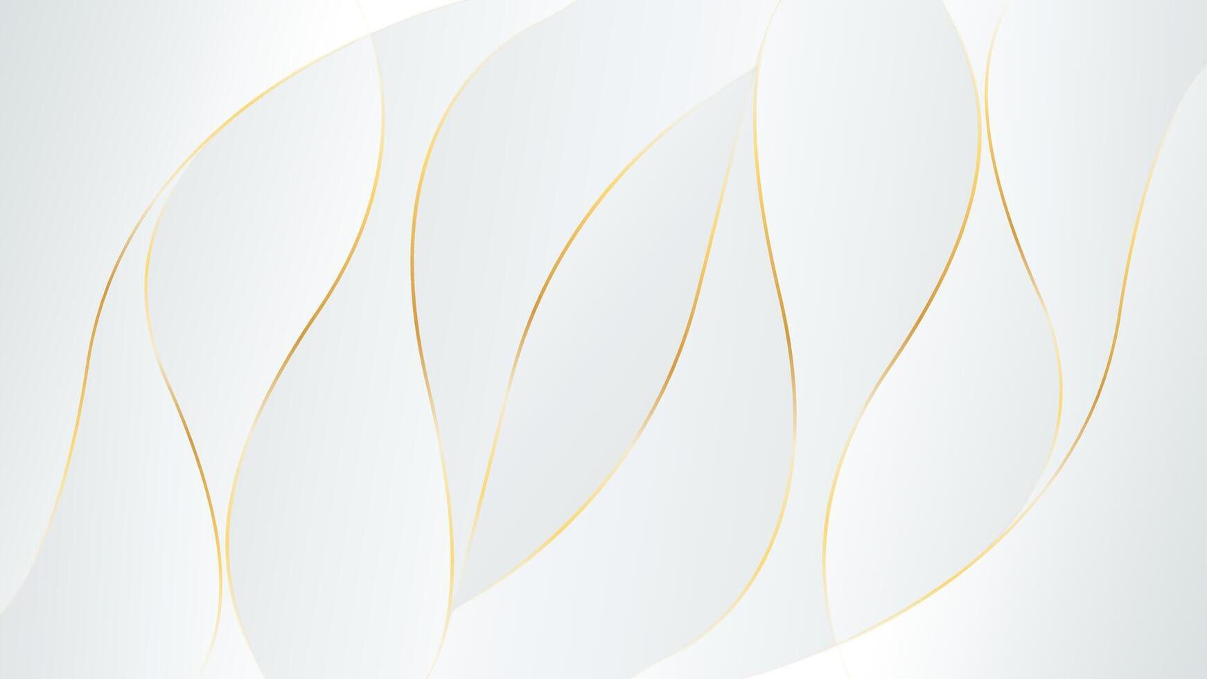 Abstract white-gray luxury background with gold lines, modern wallpaper with flowing waves. vector