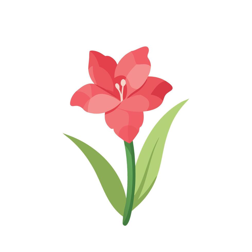 Gladiolus flower isolated flat illustration on white background vector