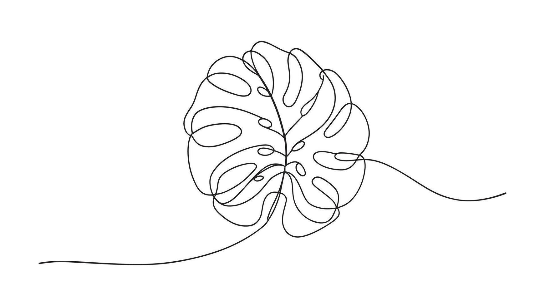 Monstera leaf continuous line art isolated on white background vector