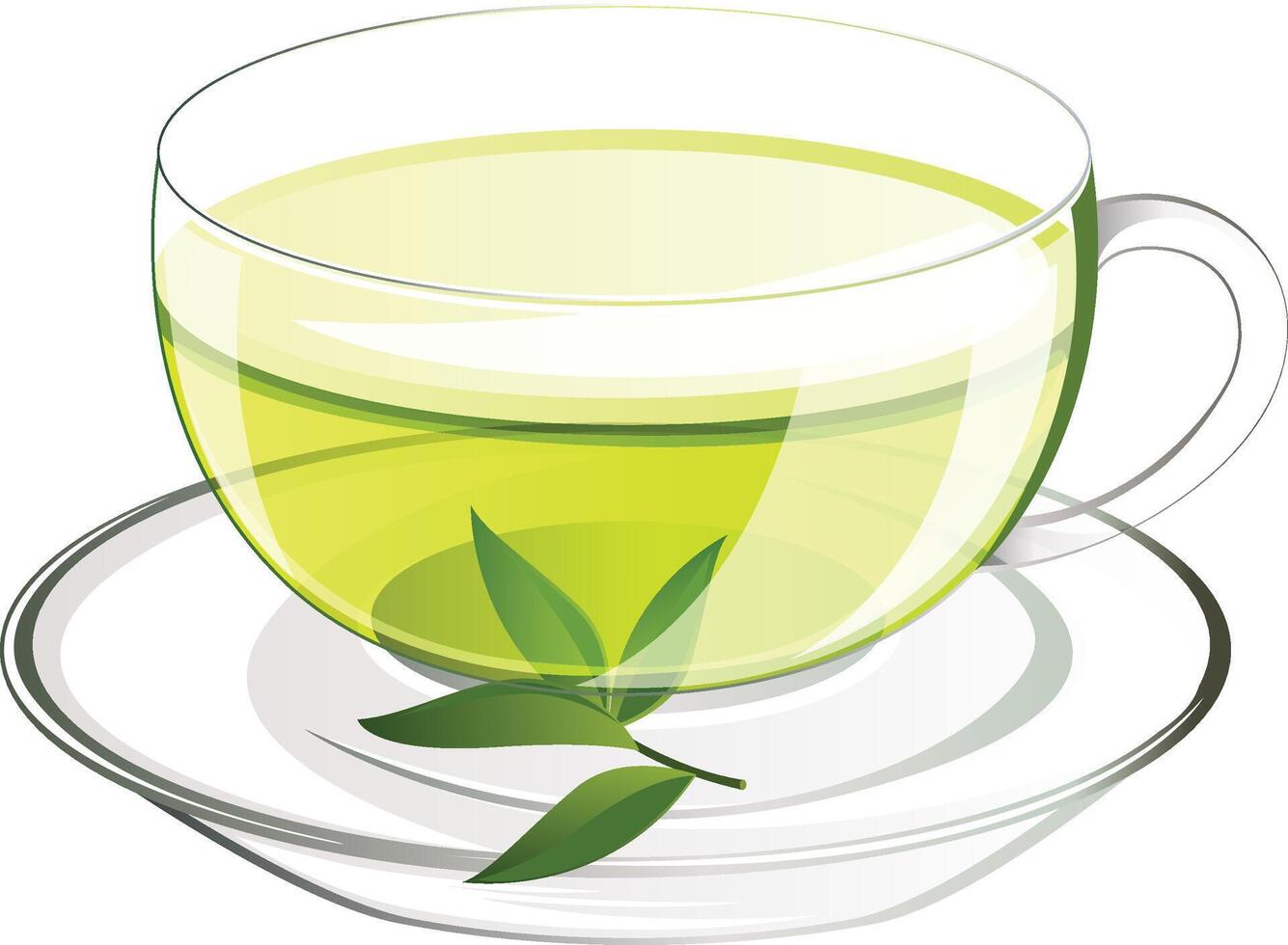 Tea Cup Illustration vector