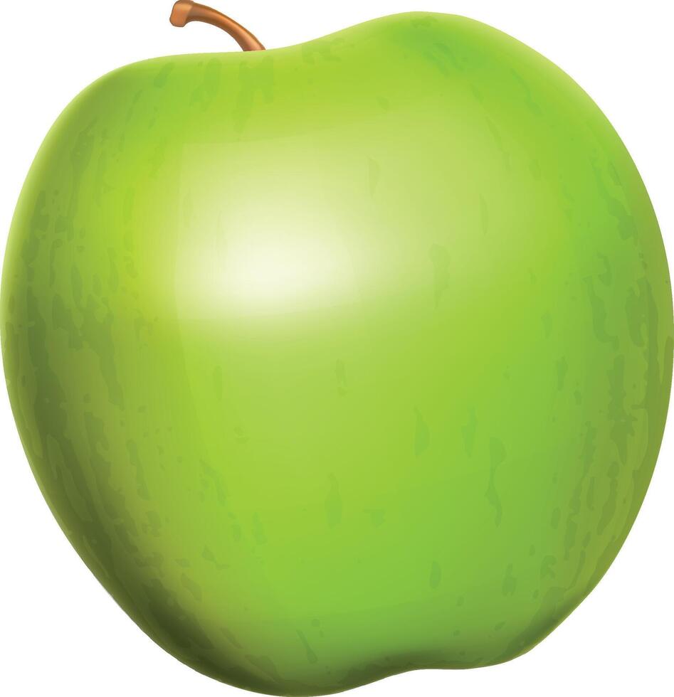 Realistic Green Apple vector