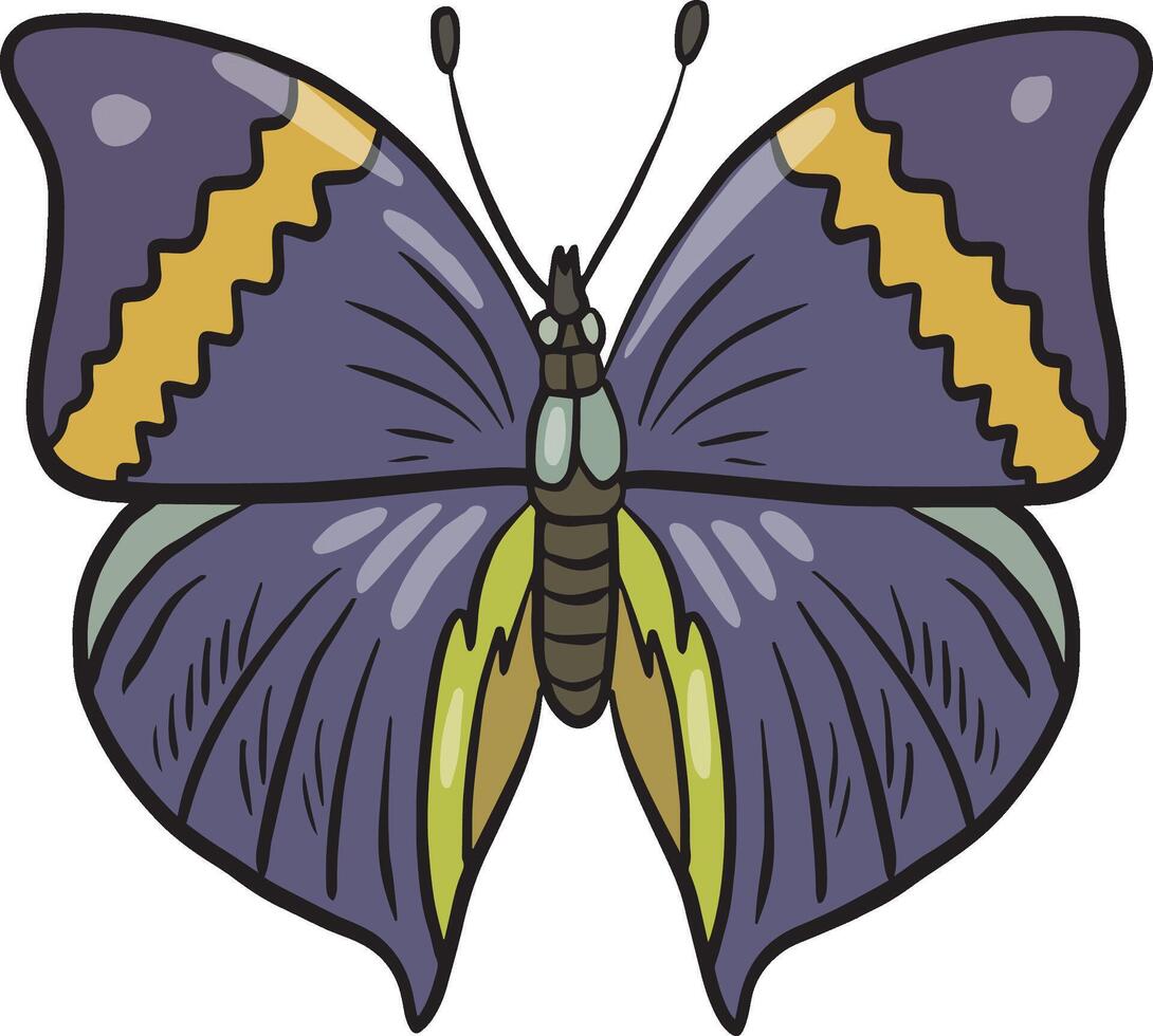 Colorful Butterfly illustration vector
